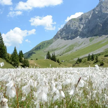 Affittacamere Hotel Hari Im Schlegeli *