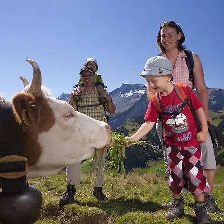 Affittacamere Hotel Hari Im Schlegeli Adelboden
