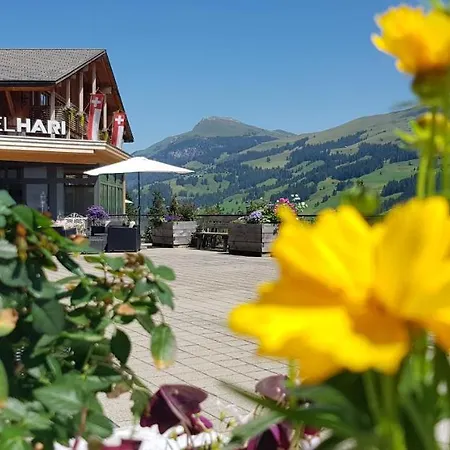 Hotel Hari Im Schlegeli Maison d'hôtes *
