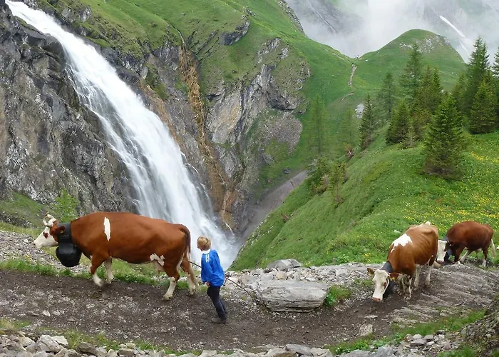 Pension Hari im Schlegeli