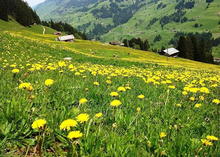 Pensjonat Hotel Hari Im Schlegeli
