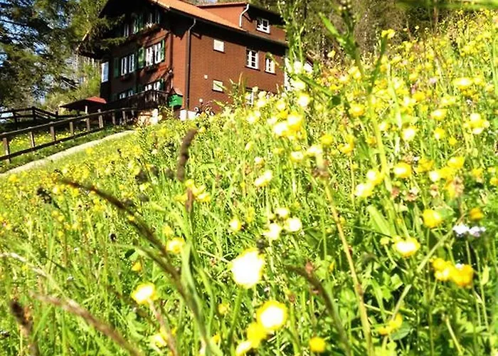 Pension Hari im Schlegeli Gasthof *