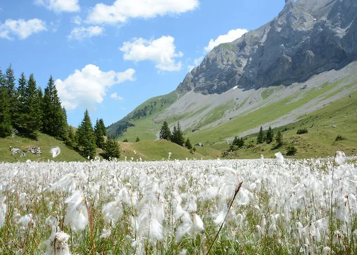 Guest house Hotel Hari Im Schlegeli *