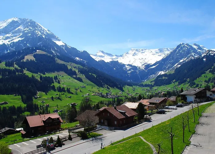Hotel Hari Im Schlegeli Adelboden