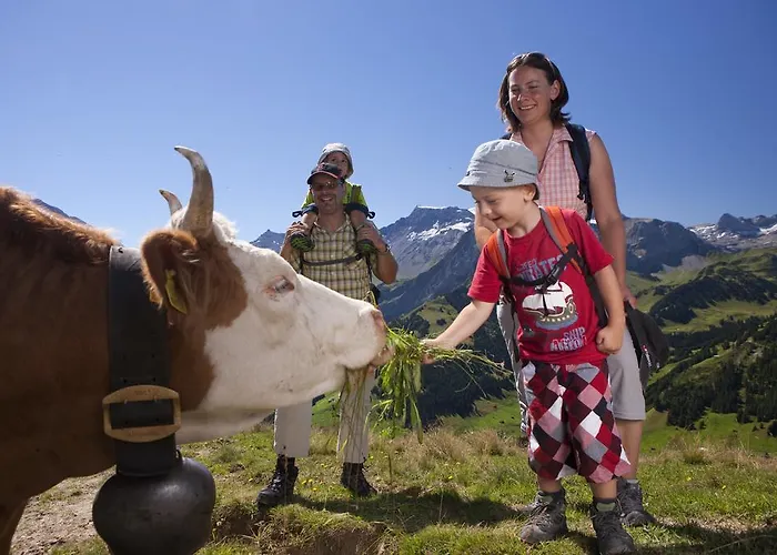 Guest house Hotel Hari Im Schlegeli Adelboden