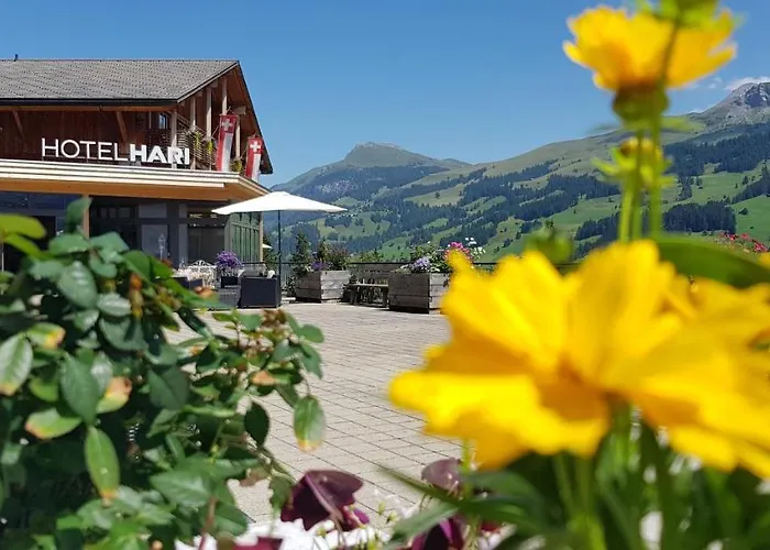 Hotel Hari Im Schlegeli Guest house *