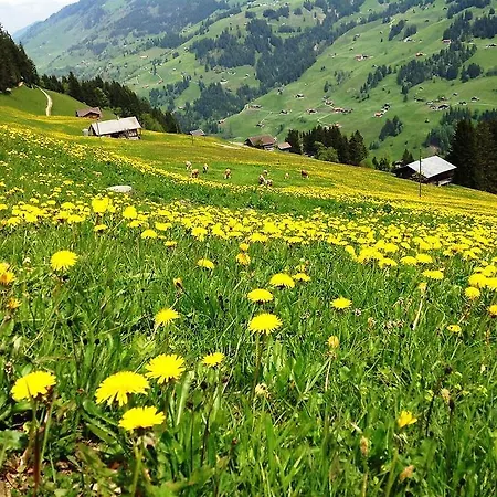 בית הארחה Hotel Hari Im Schlegeli